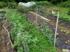 20230704_084534.jpg