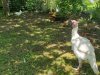 20230708_120530.jpg