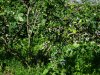 20230714_101912.jpg