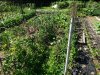 20230714_101605.jpg