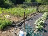 20230714_101527.jpg