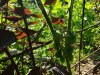 20230720_110620.jpg