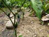 20230805_131436.jpg