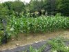 20230805_130640.jpg