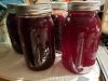 20230820_063439.jpg