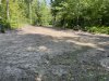 IMG_2048.jpeg