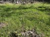 IMG_2049.jpeg