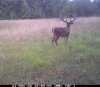 buck Aug 21_2a.jpg