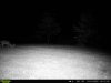 0ac9e510-9838-4b4a-93f2-5b4db0c07712.jpg