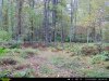 2525e057-3e72-4c42-8206-0d9e7d30a93a.jpg