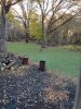 20231020_075316.jpg