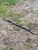 20231020_113219.jpeg