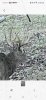 Screenshot_20231020_122750_Gallery.jpeg