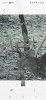 Screenshot_20231020_122734_Gallery.jpeg