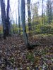 IMG_20231021_164324.jpg