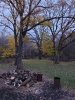 20231021_184701.jpg