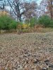 20231022_094214.jpg