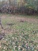 20231022_093508.jpg