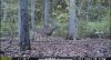 IMG_5161.jpeg