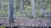 IMG_5160.jpeg