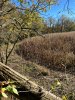 Image1698004306.138366.jpg