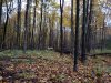20231022_073850.jpg