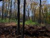 20231022_073813.jpg