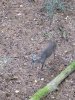 20231023_171602.jpeg