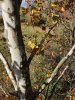 IMG_4562.jpg