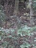 20231023_174510.jpeg