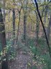 IMG_1299.JPG