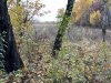 IMG_2196.jpeg