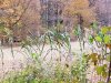 20231025_080540.jpg