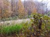 20231025_080510.jpg