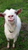 giphy (1).gif