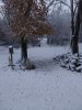 20231027_073611.jpg