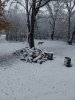 20231027_074453.jpg