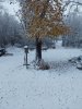20231027_081529.jpg