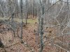 IMG_2200.jpeg