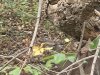 20231028_084137.jpg