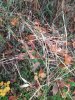 20231028_095456.jpg