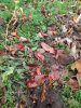 20231028_095506.jpg