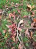 20231028_095512.jpg