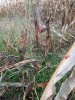 20231028_095538.jpg