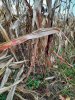 20231028_095601.jpg