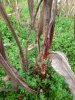 20231028_095632.jpg