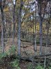 IMG_2113.jpeg