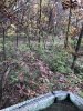 IMG_2111.jpeg