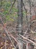 20231028_163840.jpg