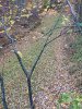 IMG_4451.jpeg